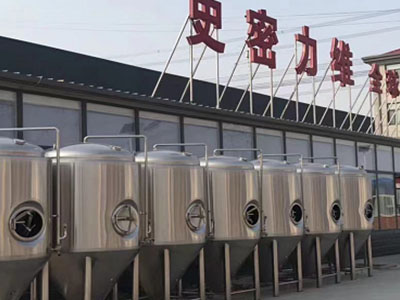 徐水精酿啤酒设备厂—如何判断精酿啤酒设备的密封件需要更换？